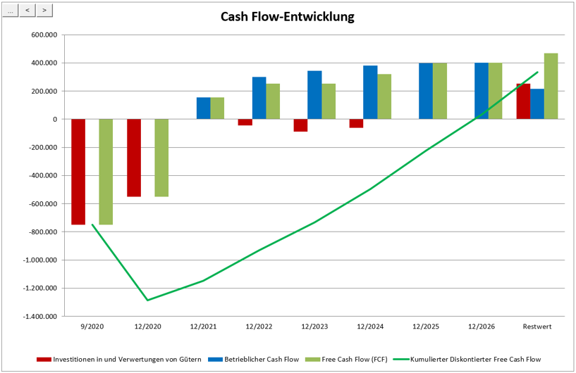 Cash-flow entwicklung